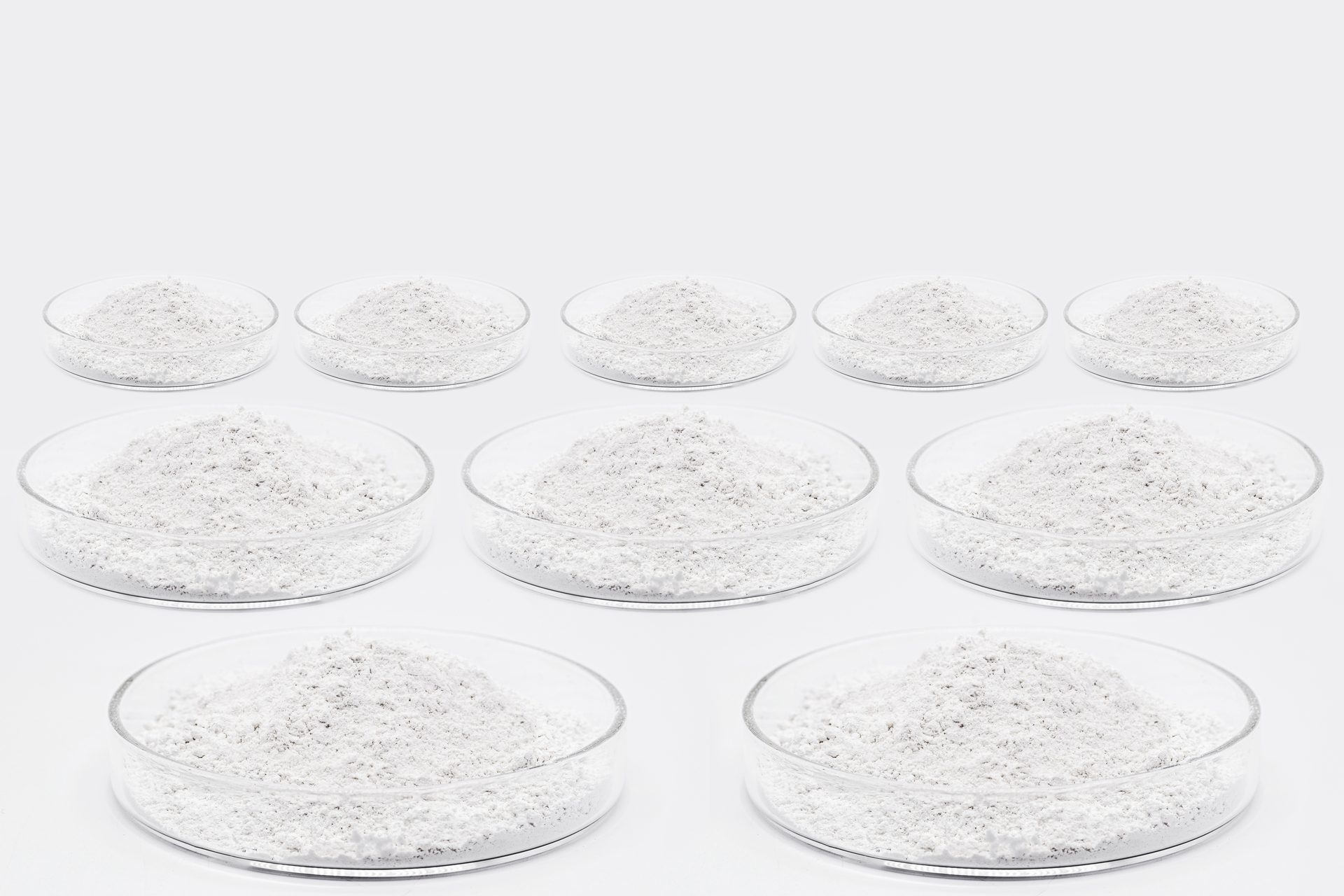 Rows of glass Petri dishes each holding a mound of white powder on a pale grey surface