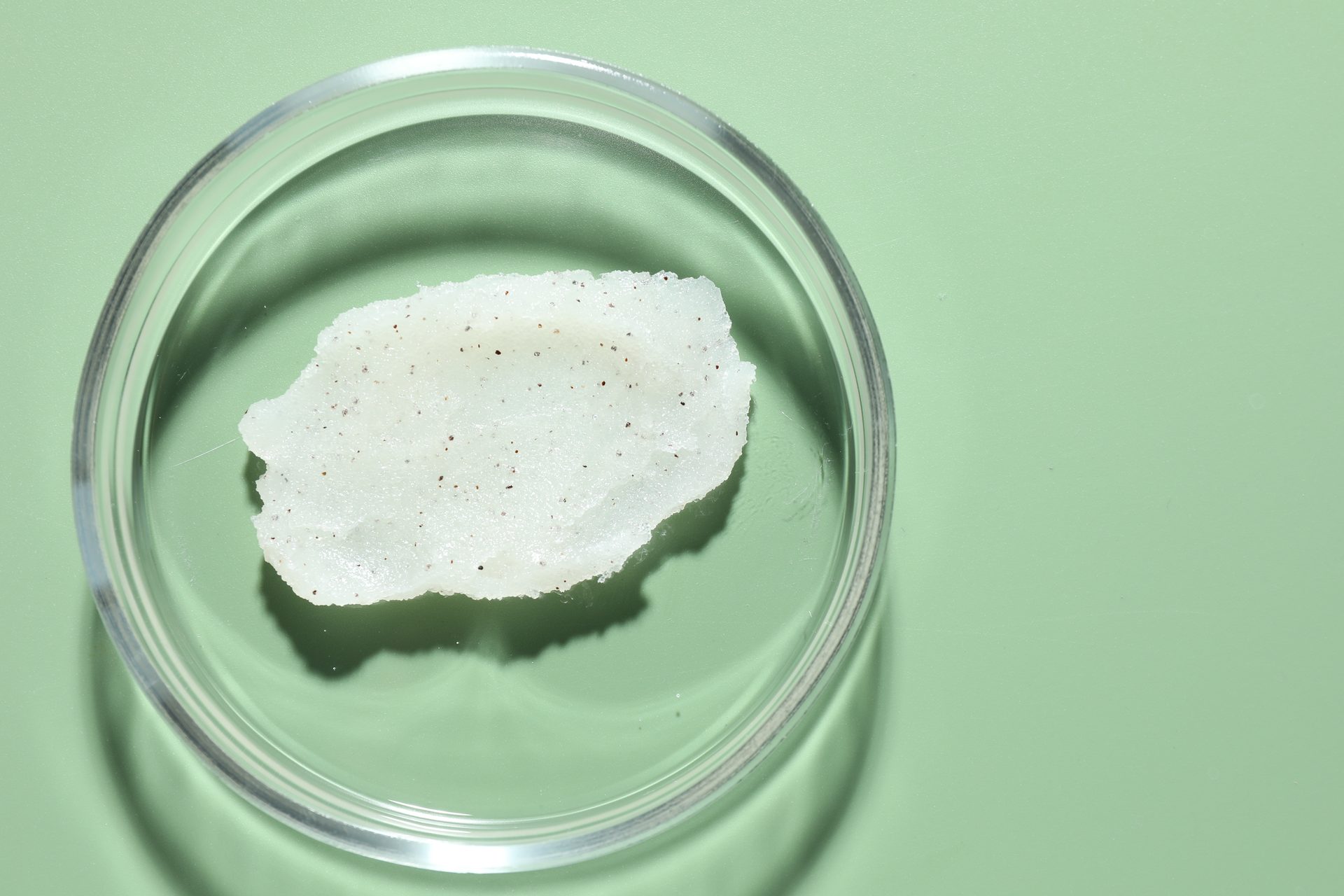 Glass petri dish holding a translucent white gel fragment with dark specks on a mint-green surface