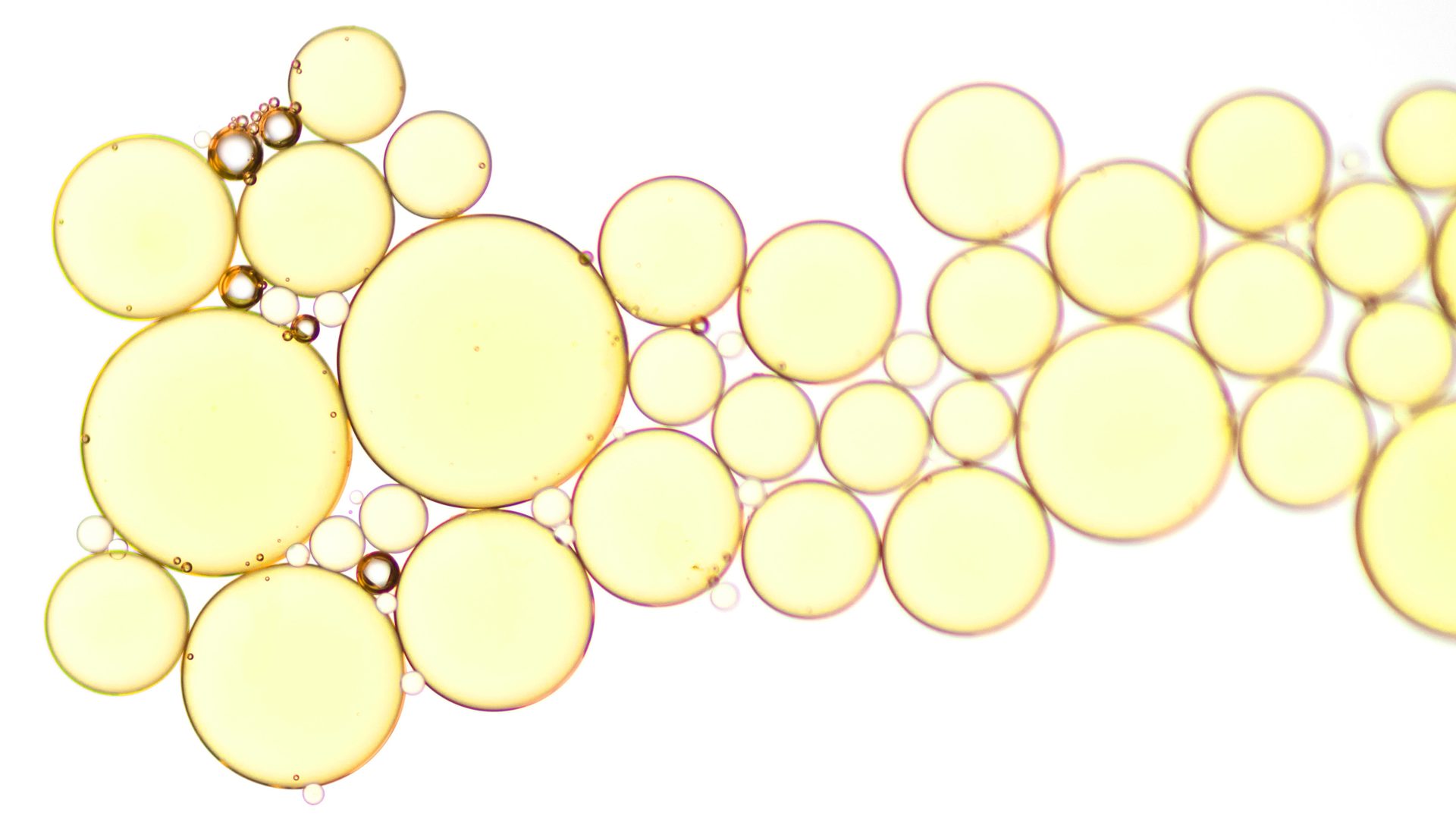 Clusters of translucent golden oil droplets of many sizes against a white background, sharp at left and softer at right