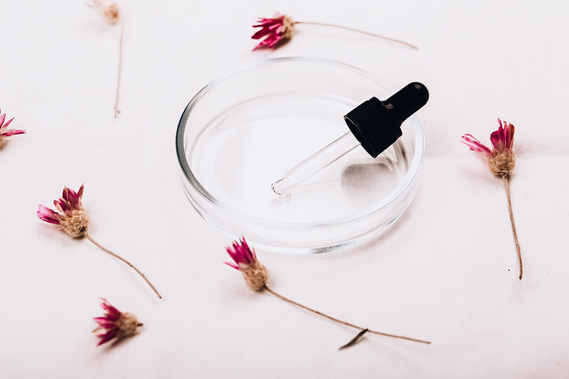 Glass petri dish and black-topped dropper surrounded by dried pink flowers on a pale surface